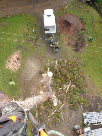 Habitat creation project