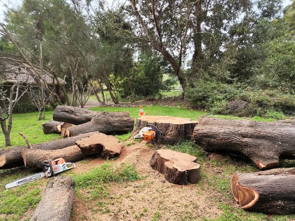 Cable bracing installation