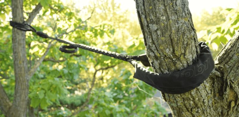 Cable bracing for tree support