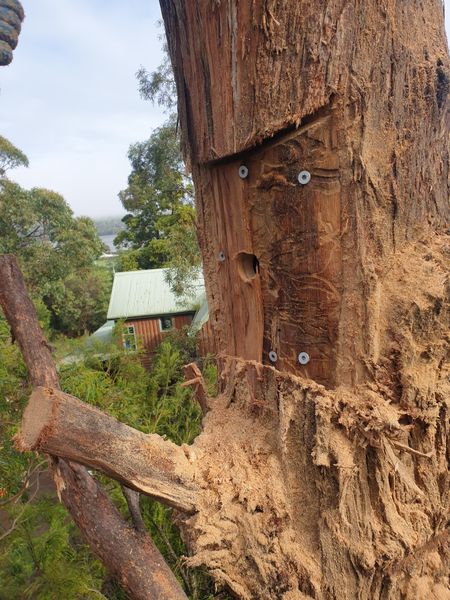 Habitat creation for native wildlife